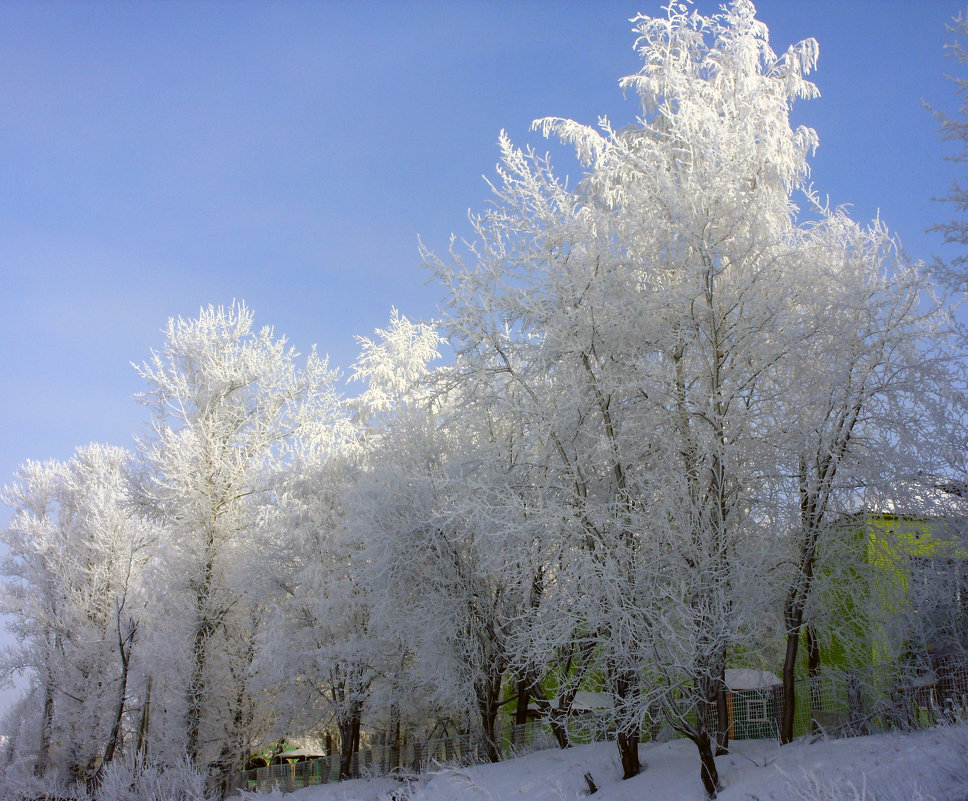 Зимнее Сафоново